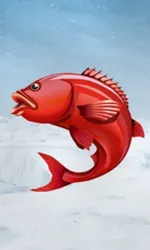 Ice Fishing